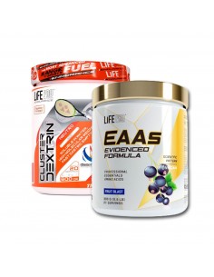 FITWILLY INTRA-WORKOUT PACK