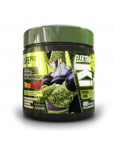 LIFE PRO ELEKTRO KI DRAGON... 2